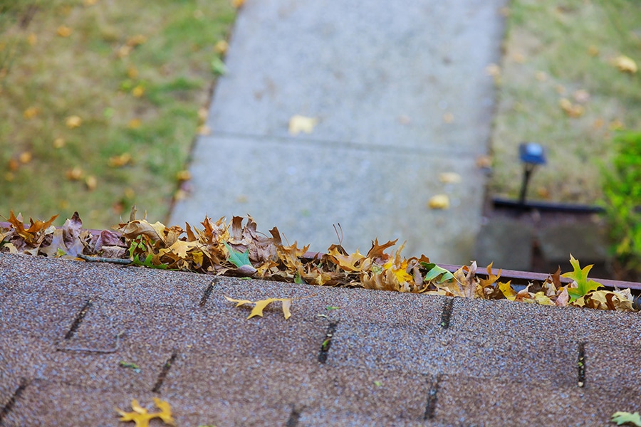 4 Reasons To Clean Your Gutters Today