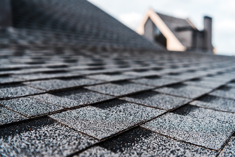 5 Shingle Roof Maintenance Tips