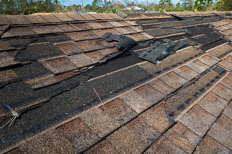 shingle roof that needs to be replaced